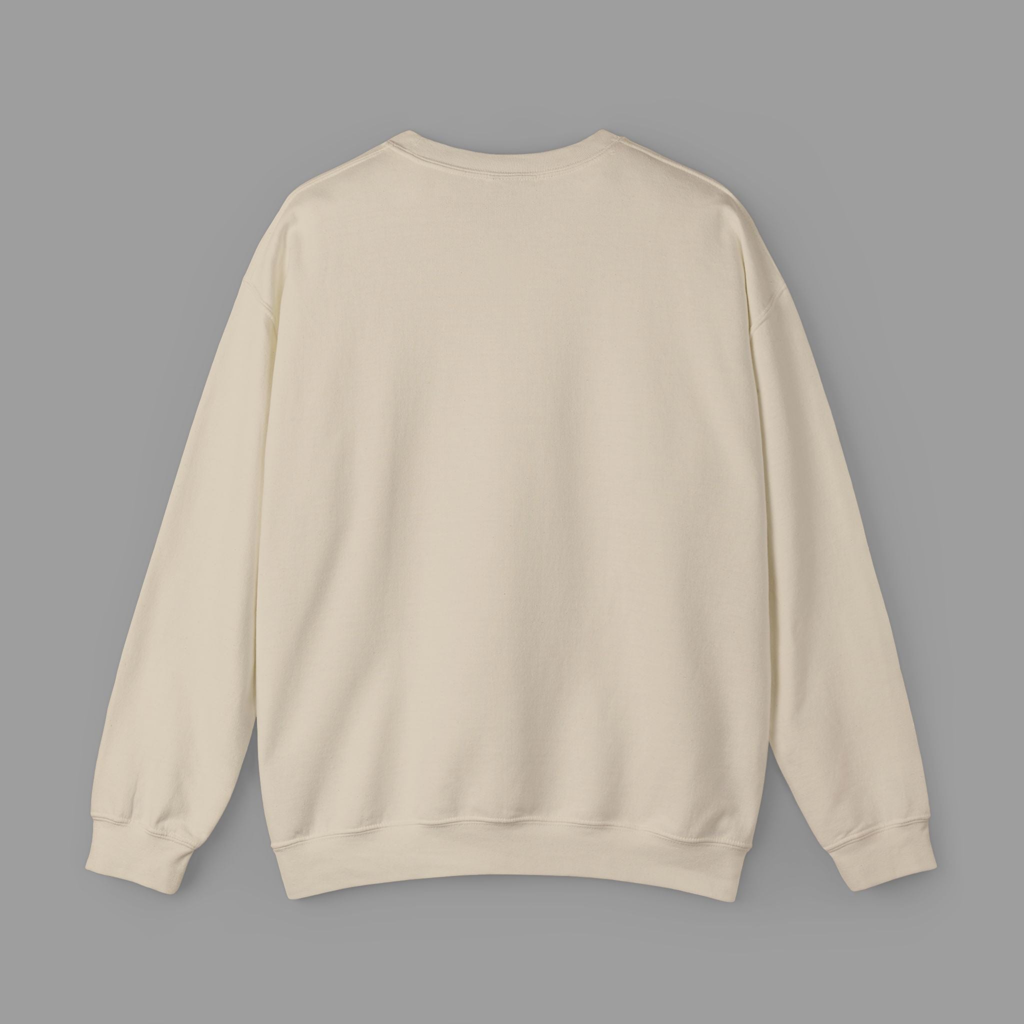RAAHI — Tribal Graphic Crewneck Sweater